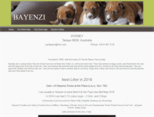 Tablet Screenshot of bayenzi.com